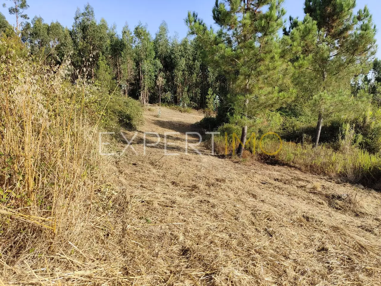 (15)Terreno agricola em Manique do Intendente/ Azambuja