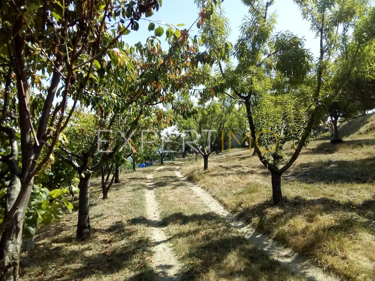 (18)Quinta 2 hectares no vale do mondego, com benfeitorias e vistas desafogadas