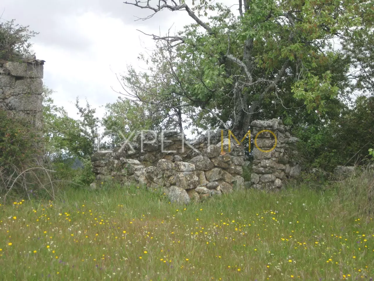 (15)Quinta 5 hectares, com 2 ruínas