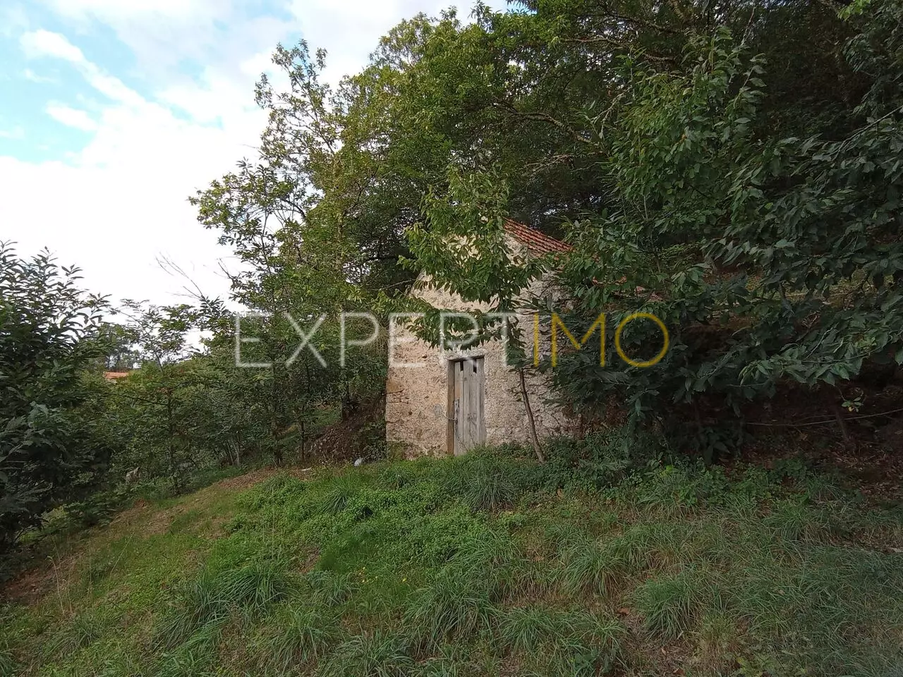 (1)Terreno rústico com casa ade arrumos à venda em São Romão em plena Serra da Estrela