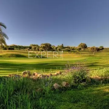 Um Oásis de Serenidade no Coração do Golfe de Boavista - 1