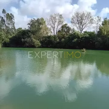 Terreno de 30000 m2 com 2 lago natural em Burinhosa Pataias - 1